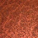 Lava Flow« Decorative Metallic Epoxy Concrete Floor Coating for Garage Floors